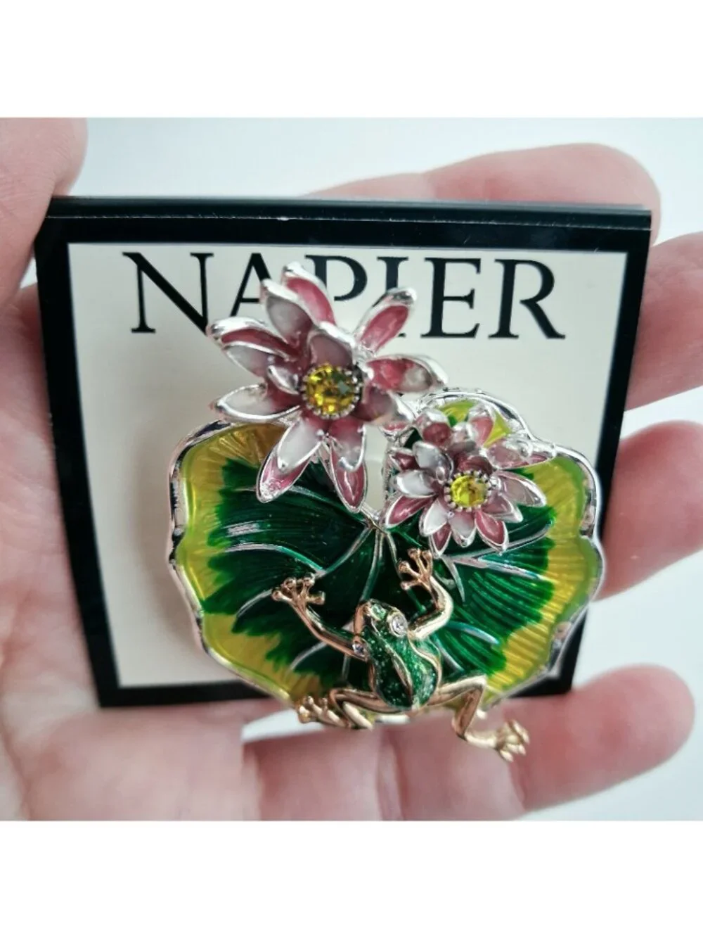 Napier frog lily